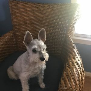 Meet your Posher, Mrsalphonso